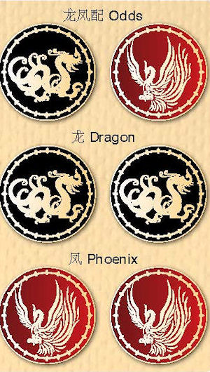 Dragon phoenix
