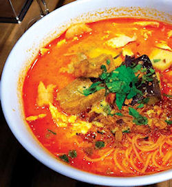 Combination Curry Laksa
