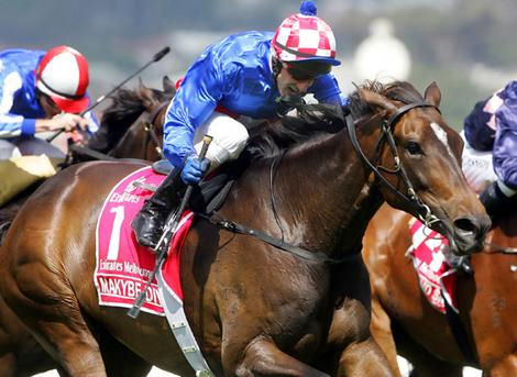 Makybe Diva was the last favorite to win the Cup in 2005