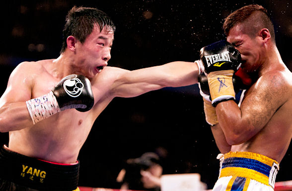 中国拳击手杨连慧在前导赛中击败印尼选手Tito Hero